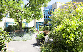 Blick in den Garten des Mildred Scheel-Hauses
